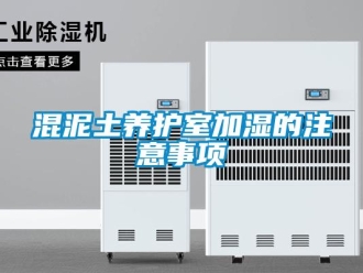 行業(yè)新聞混泥土養(yǎng)護室加濕的注意事項