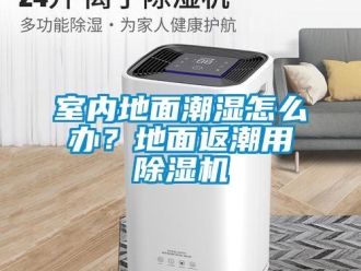 常見問題室內(nèi)地面潮濕怎么辦？地面返潮用除濕機(jī)