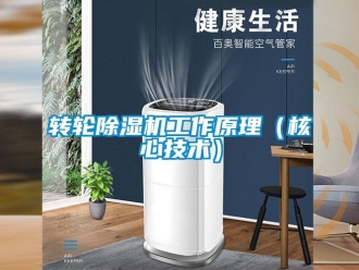 知識(shí)百科轉(zhuǎn)輪除濕機(jī)工作原理（核心技術(shù)）