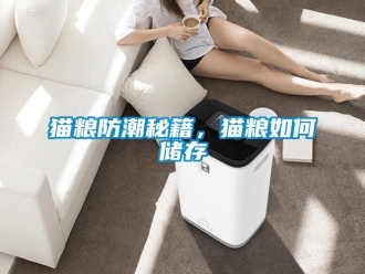 常見問題貓糧防潮秘籍，貓糧如何儲存