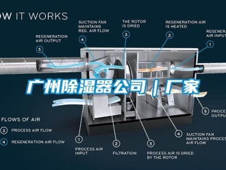 行業(yè)新聞廣州除濕器公司｜廠家