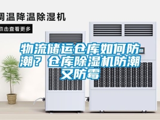 企業(yè)新聞物流儲(chǔ)運(yùn)倉庫如何防潮？倉庫除濕機(jī)防潮又防霉