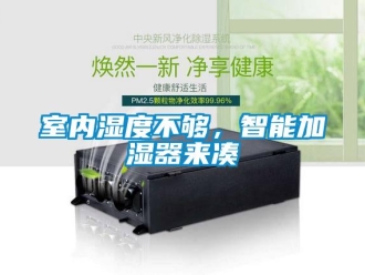 知識百科室內(nèi)濕度不夠，智能加濕器來湊