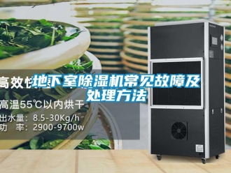 行業(yè)新聞地下室除濕機常見故障及處理方法