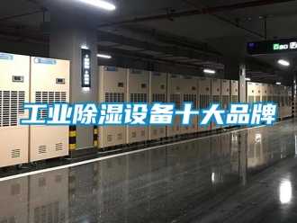 企業(yè)新聞工業(yè)除濕設備十大品牌