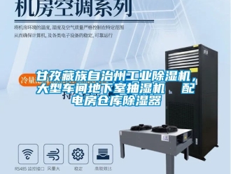 常見問題甘孜藏族自治州工業(yè)除濕機，大型車間地下室抽濕機  配電房倉庫除濕器
