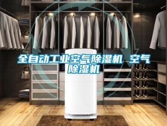 常見(jiàn)問(wèn)題全自動(dòng)工業(yè)空氣除濕機(jī) 空氣除濕機(jī)