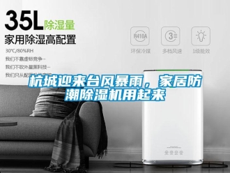 行業(yè)新聞杭城迎來臺風暴雨，家居防潮除濕機用起來