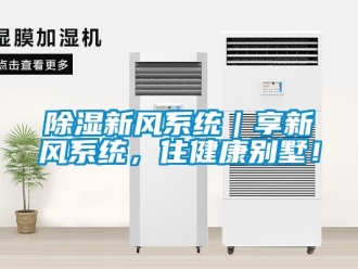 行業(yè)新聞除濕新風(fēng)系統(tǒng)｜享新風(fēng)系統(tǒng)，住健康別墅！