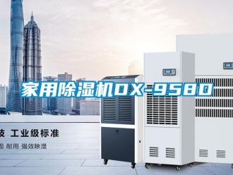 常見問題家用除濕機DX-958D