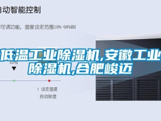 常見問題低溫工業(yè)除濕機(jī),安徽工業(yè)除濕機(jī),合肥峻邁