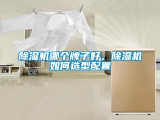 行業(yè)新聞除濕機哪個牌子好，除濕機如何選型配置