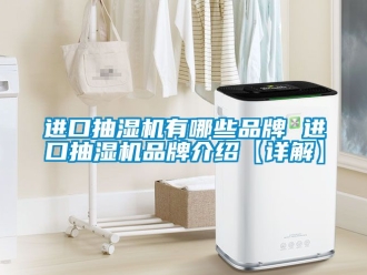 企業(yè)新聞進口抽濕機有哪些品牌 進口抽濕機品牌介紹【詳解】