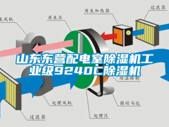 常見(jiàn)問(wèn)題山東東營(yíng)配電室除濕機(jī)工業(yè)級(jí)9240C除濕機(jī)