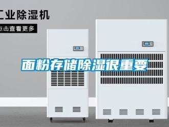 行業(yè)新聞面粉存儲(chǔ)除濕很重要