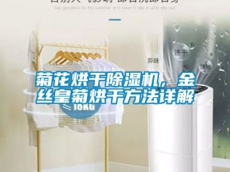 行業(yè)新聞菊花烘干除濕機，金絲皇菊烘干方法詳解