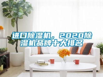 企業(yè)新聞進(jìn)口除濕機(jī)，2020除濕機(jī)品牌十大排名