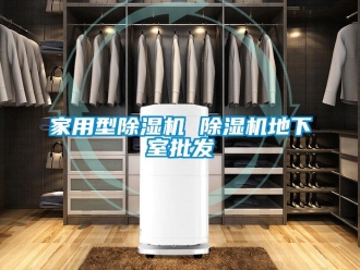 常見問題家用型除濕機(jī) 除濕機(jī)地下室批發(fā)