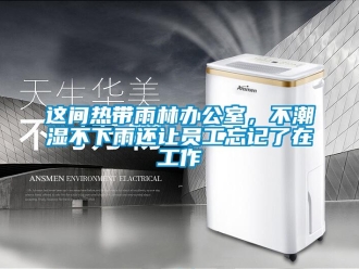 知識百科這間熱帶雨林辦公室，不潮濕不下雨還讓員工忘記了在工作