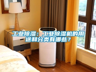 常見(jiàn)問(wèn)題工業(yè)除濕：工業(yè)除濕機(jī)的用途和分類(lèi)有哪些？