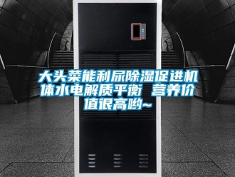 行業(yè)新聞大頭菜能利尿除濕促進機體水電解質(zhì)平衡 營養(yǎng)價值很高喲~