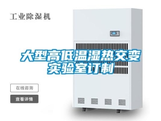 常見(jiàn)問(wèn)題大型高低溫濕熱交變實(shí)驗(yàn)室訂制