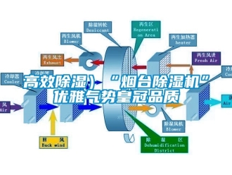 行業(yè)新聞高效除濕）“煙臺(tái)除濕機(jī)”優(yōu)雅氣勢皇冠品質(zhì)