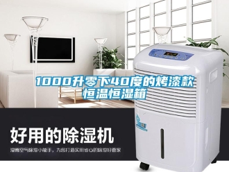 常見(jiàn)問(wèn)題1000升零下40度的烤漆款恒溫恒濕箱