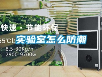 常見問題實(shí)驗(yàn)室怎么防潮