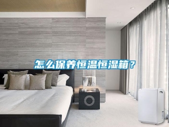 知識百科怎么保養(yǎng)恒溫恒濕箱？