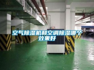 行業(yè)新聞空氣除濕機和空調除濕哪個效果好