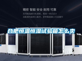 知識百科合肥恒溫恒濕試驗箱怎么賣