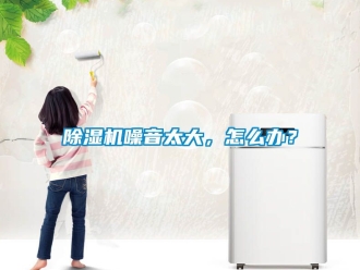 行業(yè)新聞除濕機(jī)噪音太大，怎么辦？
