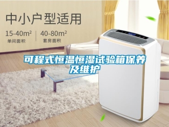 知識百科可程式恒溫恒濕試驗(yàn)箱保養(yǎng)及維護(hù)