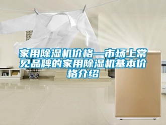 企業(yè)新聞家用除濕機(jī)價(jià)格—市場(chǎng)上常見(jiàn)品牌的家用除濕機(jī)基本價(jià)格介紹