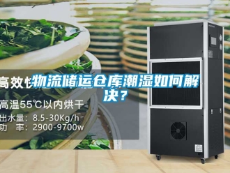 企業(yè)新聞物流儲(chǔ)運(yùn)倉庫潮濕如何解決？