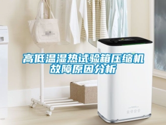 常見問題高低溫濕熱試驗(yàn)箱壓縮機(jī)故障原因分析