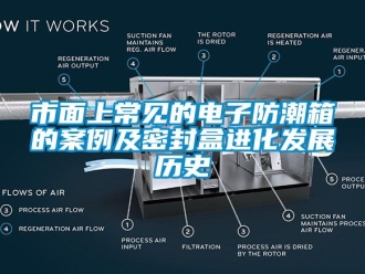 常見問題市面上常見的電子防潮箱的案例及密封盒進(jìn)化發(fā)展歷史