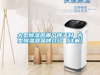 行業(yè)新聞大型除濕器哪個牌子好 大型除濕器品牌介紹【詳解】