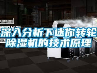 常見問題深入分析下迷你轉(zhuǎn)輪除濕機(jī)的技術(shù)原理