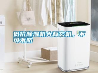 企業(yè)新聞低價除濕機大有玄機，不可不防