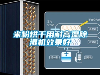 行業(yè)新聞米粉烘干用耐高溫除濕機效果好
