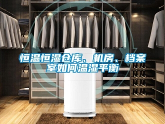 知識百科恒溫恒濕倉庫、機(jī)房、檔案室如何溫濕平衡
