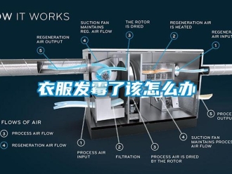 常見問題衣服發(fā)霉了該怎么辦