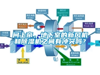 常見問題問上帝，地下室的新風機和除濕機之間有沖突嗎？