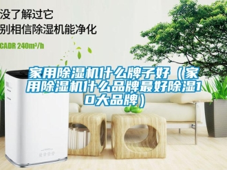 企業(yè)新聞家用除濕機(jī)什么牌子好（家用除濕機(jī)什么品牌最好除濕10大品牌）