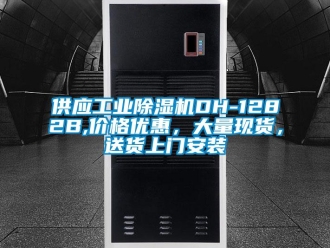 常見問題供應(yīng)工業(yè)除濕機(jī)DH-1282B,價(jià)格優(yōu)惠，大量現(xiàn)貨，送貨上門安裝