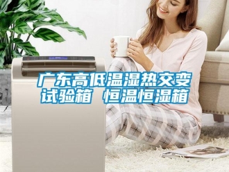 知識百科廣東高低溫濕熱交變試驗(yàn)箱 恒溫恒濕箱