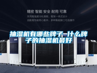 企業(yè)新聞抽濕機(jī)有哪些牌子 什么牌子的抽濕機(jī)最好