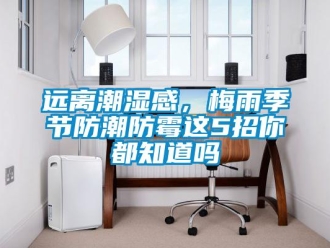 常見問題遠離潮濕感，梅雨季節(jié)防潮防霉這5招你都知道嗎